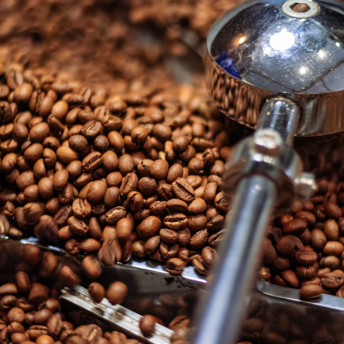 Grãos de café durante o processo de torra