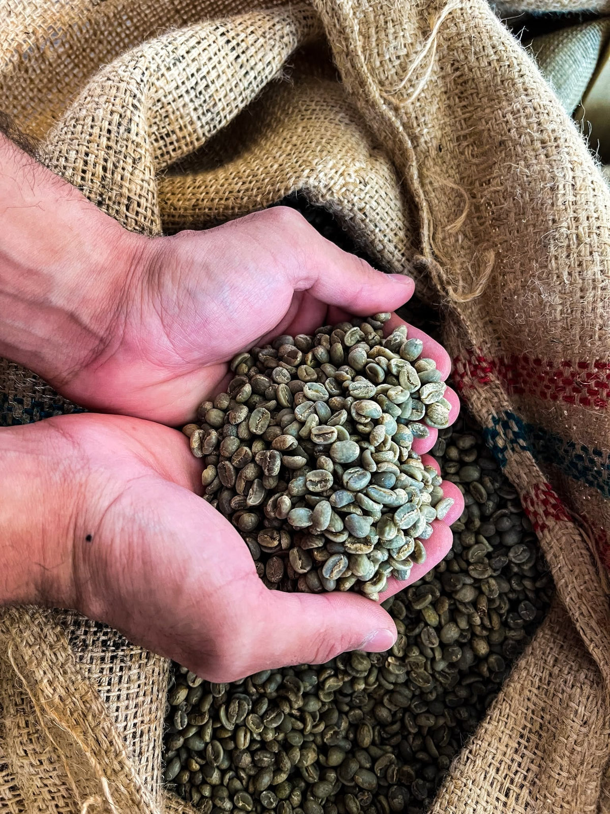 O que é café de especialidade?