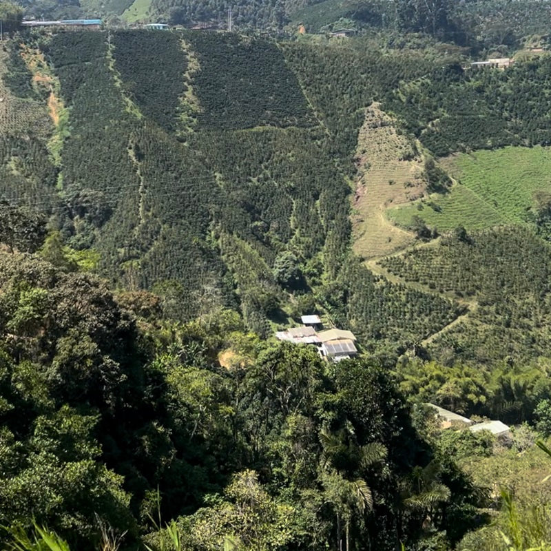 Resinas farm (1)