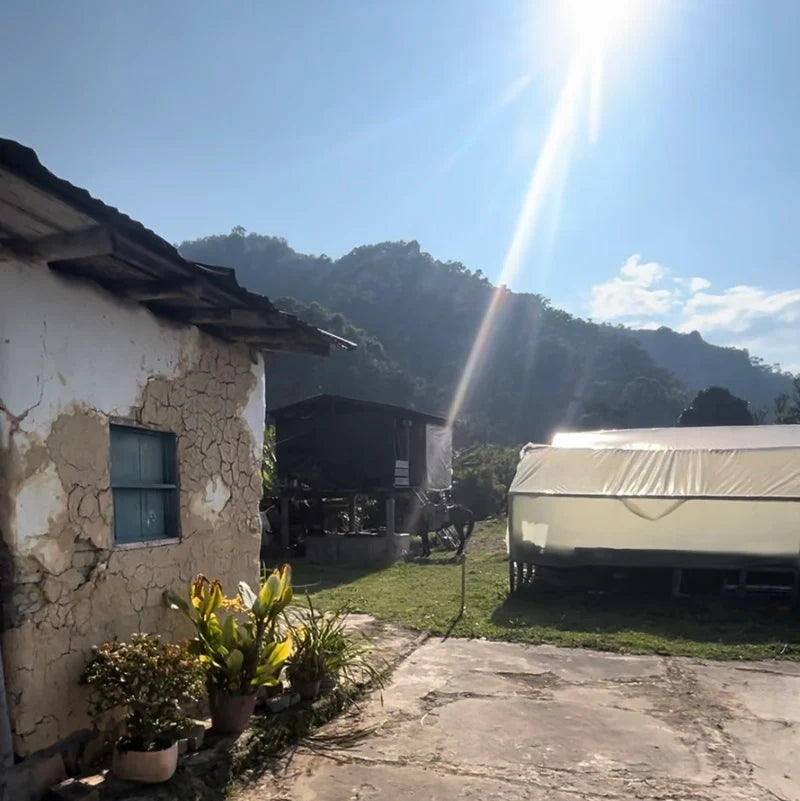 Resinas farm (2)