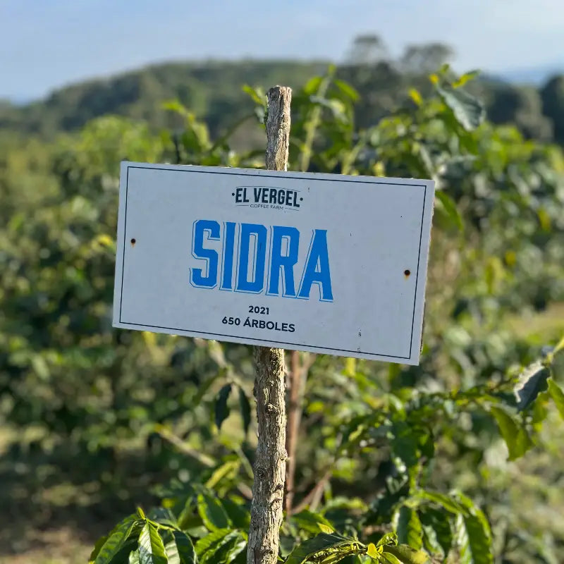 Sidra sign 
